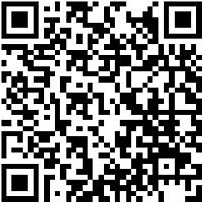 Arbeitsjacke Parka Nature Schieferblau L