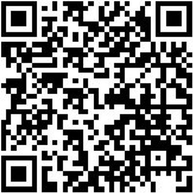 Arbeitsjacke Parka Nature Teerschwarz Xl