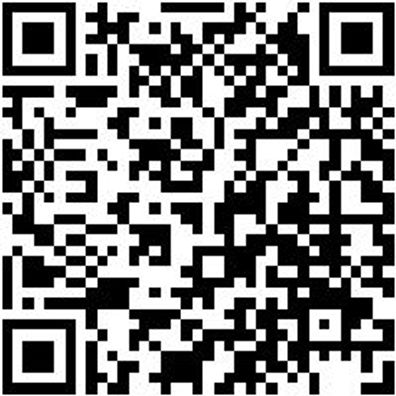 Arbeitsjacke Parka Nature Teerschwarz 3Xl