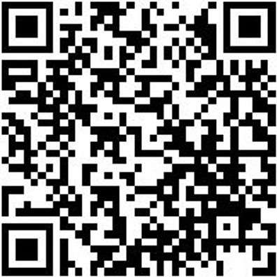 Arbeitsjacke Parka Nature Granitgrau 4Xl