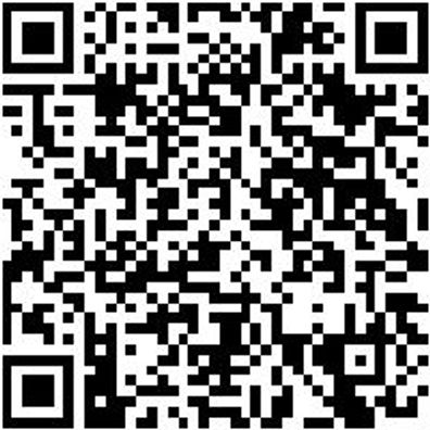 Arbeitsjacke Softshl Stretch Evolution Anthr/Lime L