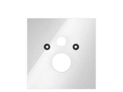 TECElux WC-Glasplatte Standard-WC, Glas weiss glaenzend 9650100
