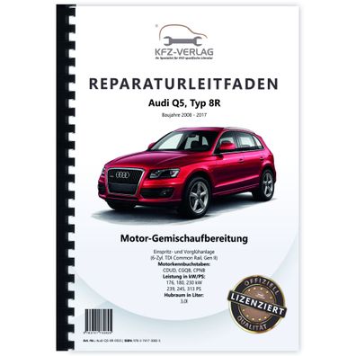 Audi Q5 8R (08-17) Diesel Einspritz- Vorglühanlage 239-313 PS Reparaturanleitung
