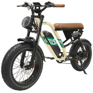 E-bike Klapprad 20 Zoll 500W 48V 13.5Ah Elektro-Faltrad