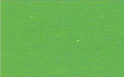 Ursus FK-SCHULTÜTEN 68CM HOCH,10ST. Grasgrün