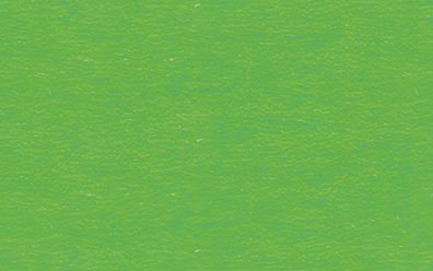 Ursus FK-SCHULTÜTEN 41CM HOCH,10ST. Grasgrün