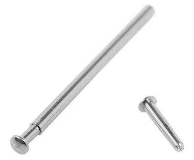 Festina Lotus | 1x Uhrenstift für Schließe | F20693 F20703 C4694 18994