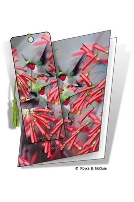 Grußkarte mit 3D Lesezeichen Kolibris - Hummingbirds