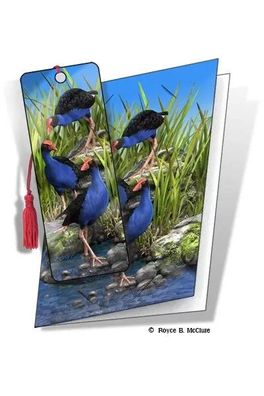 Grußkarte mit 3D Lesezeichen Sumpfhuhn - Wet Feet