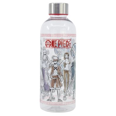 One Piece Trinkflasche 850?ml Wasserflasche für Schule & Sport