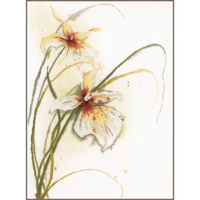 Lanarte PN-0008014 Zwei Orchideen Kreuzstichpackung