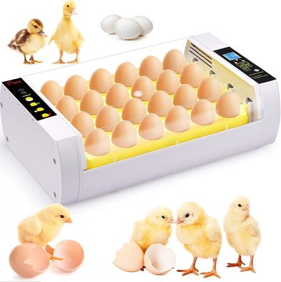 Brutmaschine 24 Eier vollautomatisch mit LED Durchleuchtung und Display