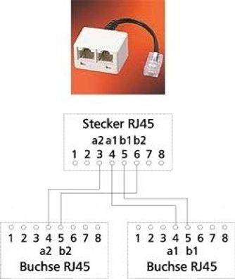 Adapter UAE WE8(4) auf 2 x RJ45 - IEC-Norm a/b