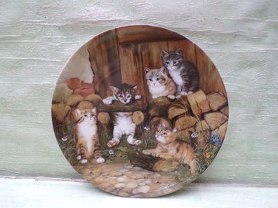 Abenteur auf Samtpfoten K5313 Wolf Kaiser C)1991 Seltmann Weiden GmbH 20cm