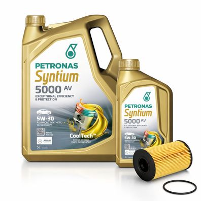 6L Motoröl 5W30 + Ölfilter für Mercedes Fiat Opel Nissan Renault dCi CDTI CDI