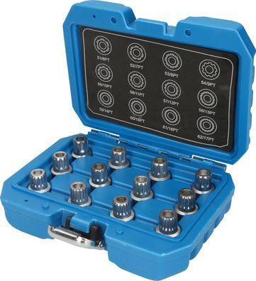 Brilliant Tools Felgenschloss-Sortiment für VW, 12-tlg