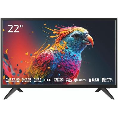 DYON Enter 22 Pro X2 LED-Fernseher 22" (55cm) Full-HD Schwarz