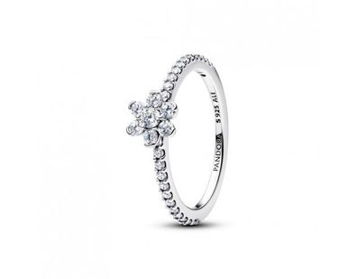 Ring Pandora 194499C01-54 größe