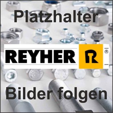 40 St Schraubhaken gebogen galv vz 3,6x50 mm Reyher