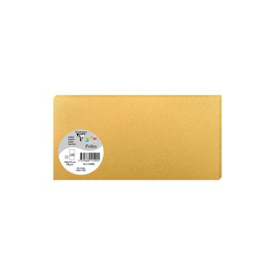 Clairefontaine Karte DL Pollen 210g gold