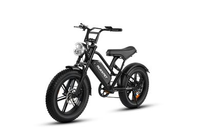 20 Zoll Fatbike 500W 48V 18Ah e-Bike Dual Suspension eFatbike
