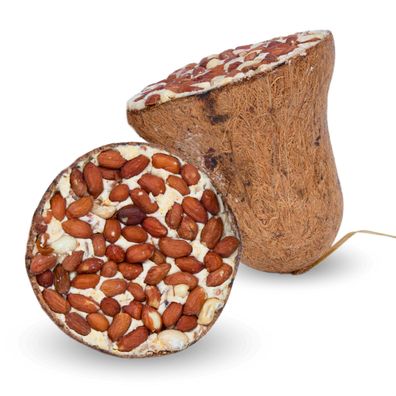 8 - 24 Stk. Lyra Pet® Energie Boost Futterglocke mit Erdnüssen