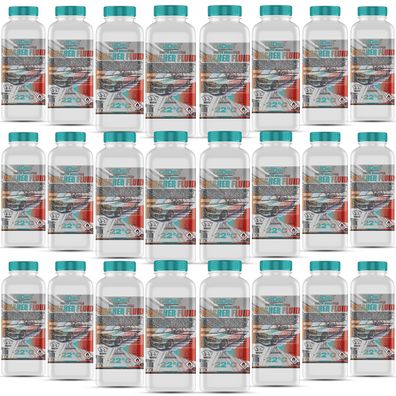 Scheibenfrostschutz -22°C 24L Winter Wischwasser Auto Gebrauchsfertig GiDeli