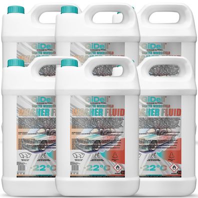 Scheibenfrostschutz -22°C 30L Winter Wischwasser Auto Gebrauchsfertig GiDeli