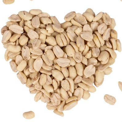 25 kg Lyra Pet® Erdnusskerne halbe blanchiert HK Argentinien