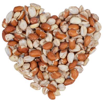 10 - 25 kg Lyra Pet® Erdnusskerne Splits gemischt blanchiert und mit Haut HK Argen