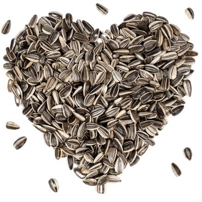 10 - 25 kg Lyra Pet® Sonnenblumenkerne gestreift HK Bulgarien