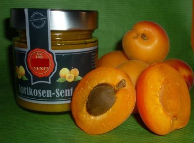 Aprikosen ( Marillen) Senf 180ml