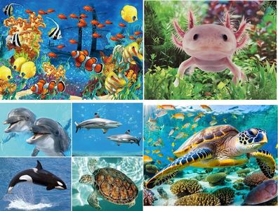 TischSet 3 D Seaworld / Wassertiere Platzset 2erSet Platzdeckchen Poster Bilder Tiere