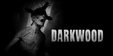 Darkwood (PC-MAC-Linux, 2017, Nur der Steam Key Download Code) Keine DVD, Keine CD