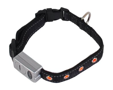 LED Sicherheits-Hundehalsband Blinklicht Reflektionsstreifen 40-46cm Leuchtband