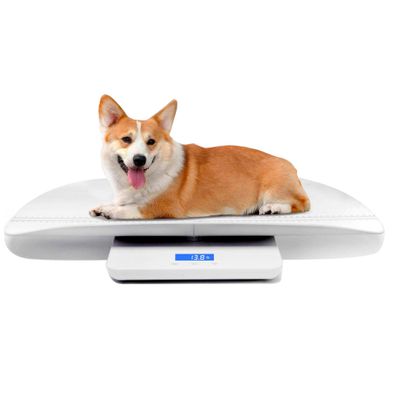 Digitale Haustierwaage Babywaage 3 Wiegemodi kg oz lb bis 100 kg Weiß