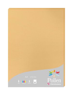 Clairefontaine Papier A4 210g karamel 25Bl