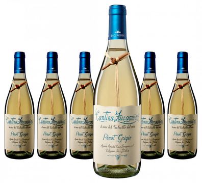 6 x Zaccagnini Pinot Grigio IGT – 2025