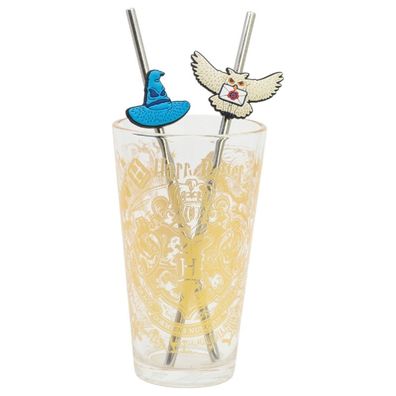 Harry Potter Glas 480 ml mit 2 Edelstahl Trinkhalmen