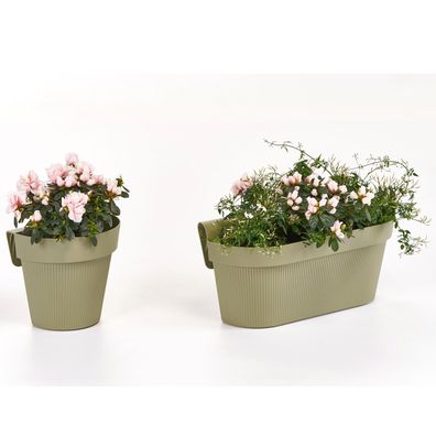 Geländertopf Rosmarin 25 oder 50 cm Hängetopf Blumenkasten Geländertöpfe Hängetöpfe