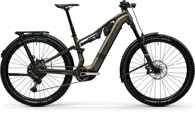 Numinis R2000 EQ E-MTB Hardtail in Kristallgrau satin