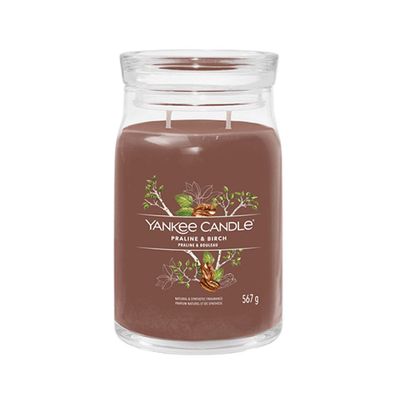 Yankee Candle Praline & Birke Signatur Kerze 567 g