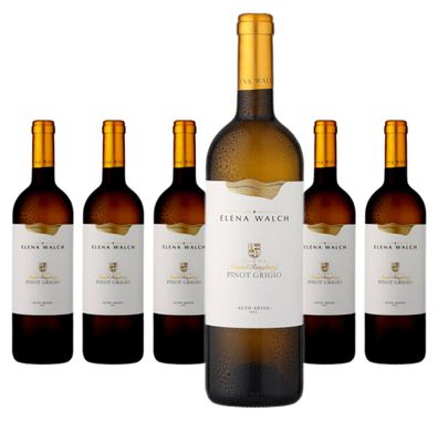 6 x Elena Walch Pinot Grigio Alto Adige Castel Ringberg – 2024