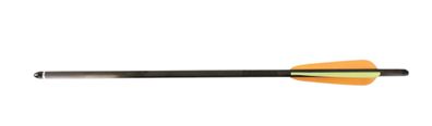 Carbonbolzen 16" in schwarz aus Kohlefaser mit Schraubspitze