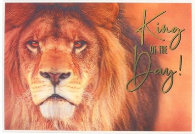 Depesche Klappkarte 3D ART, 12,1x17,5cm, Geburtstagskarte Grußkarte 23