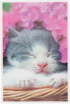 Depesche Klappkarte 3D ART, 8,5x12,2cm, Medikarte Grußkarte Geburtstagskarte 11796-02