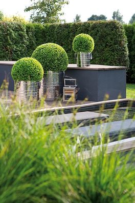 Fink BUXUS, Buchskugel, Kunststoff, grün, L. 50 cm, B. 50 cm, H. 50 cm, D. 50 cm