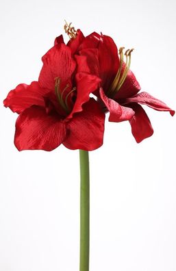Fink Amaryllis, Kunstblume, Kunstfasern, dunkelrot, L. 50 cm, B. 12 cm, H. 2 cm