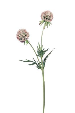 Fink Scabiosa, Kunstblume, Kunstfasern, hellgrün, rose, L. 10 cm, B. 10 cm, H. 55
