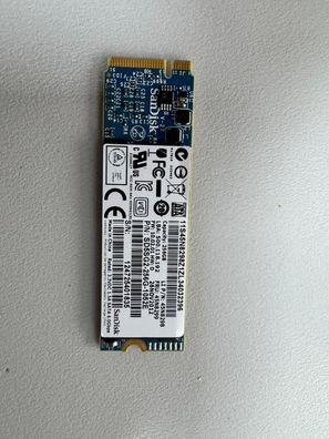SanDisk Festplatte SSD SATA 256 GB 45N8298